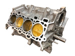 LM2100 – 2018 5.0L Coyote Sleeved Short Block- 1 in stock ready to ship!